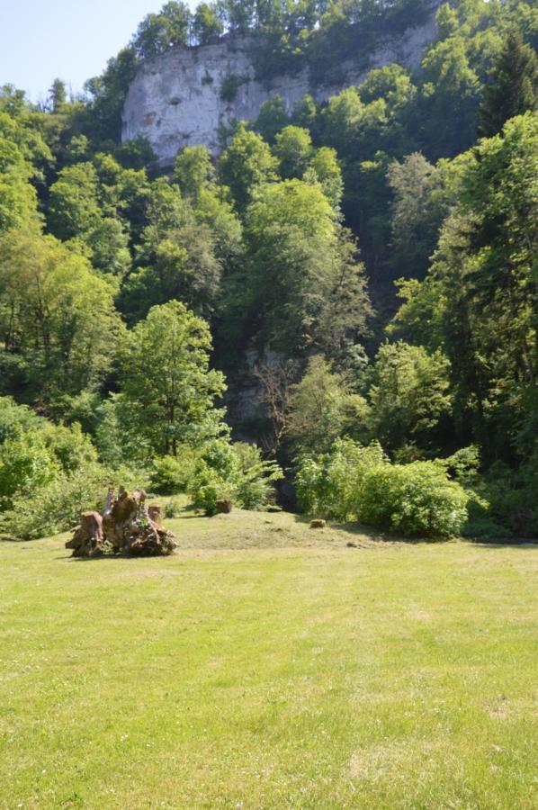 Moulin De La Cuse - Chambre La Cuse Cusance ภายนอก รูปภาพ